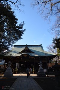 20180111124749_NIKON D7100.jpg